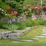 Curare il giardino di casa tua